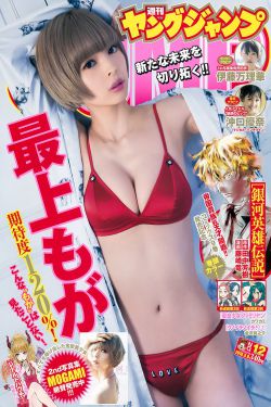 侠探高飞电视剧